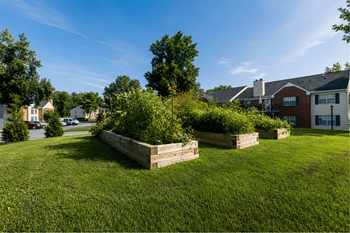 Community gardens
