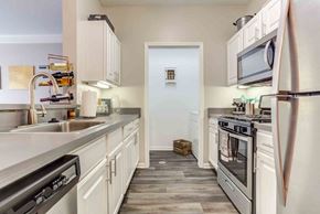 St. Charles apartment for rent - Gourmet kitchen with sleek countertops and appliances