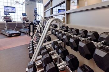 Free weights