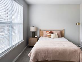 St. Charles apartment for rent - Bright and spacious bedroom