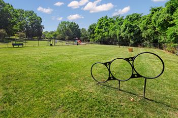 Gated dog park