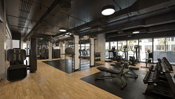 Expansive fitness center with private deck