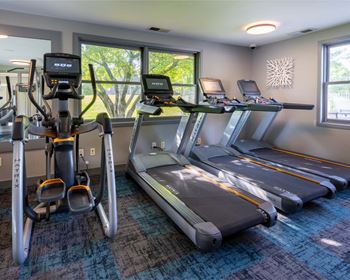 Cardio machines and free weights