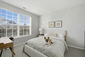 Aurora apartment for rent - A dog is sitting on a bed in a bedroom.
