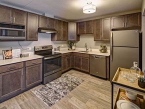 Elk Grove Village apartment for rent - apartment kitchen with stainless steel appliances and wooden cabinets