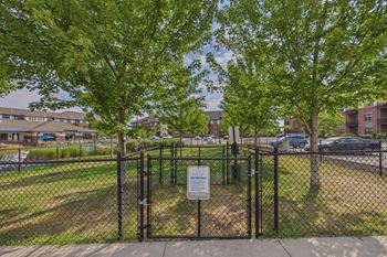 Dog park