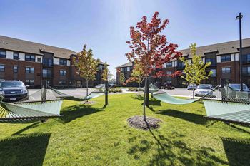 Exteriors come home and relax in the hammock garden