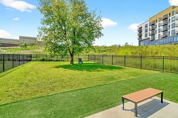 Aspire at cityplace large dog park