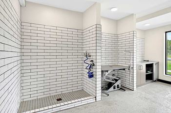 Aspire at cityplace dog grooming station