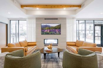 Amenities - clubroom tv lounge