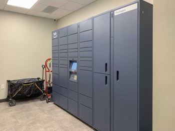 Brynwood - amenities - amazon lockers
