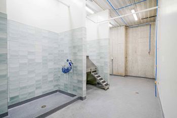 Amenities - dog spa