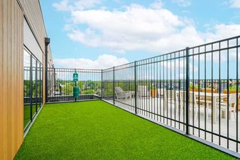Amenities - penthouse dog run
