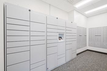 Electronic package lockers for secure delivery and pick up