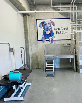 Pet spa