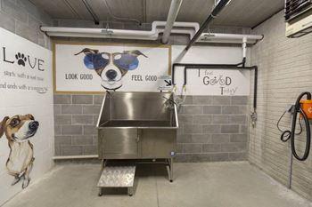 Npv - dog wash station
