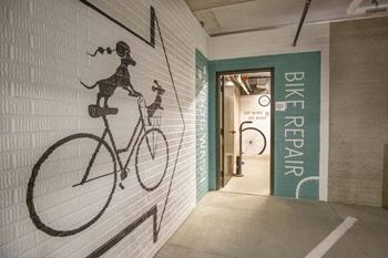 Npv - bike repair and pet wash stations