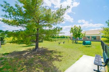 West dog park