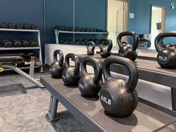 Kettlebell weights