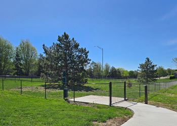 Dog park