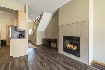 Gas fireplace
