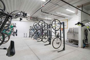 Amenities - bike locker & pet wash station
