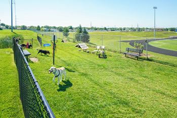Private dog park