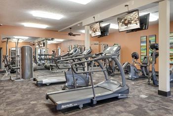Exteriors-enjoy tv while working out