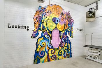 The-flats-at-shadow-creek-lincoln-ne-dog-wash-02