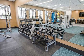 The knock - fitness center interior - weights