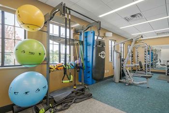 The knock - fitness center interior - yoga/pilates equipment