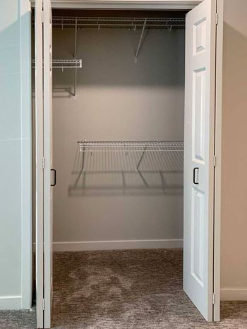 Two-bed dove (#101) - primary bedroom closet