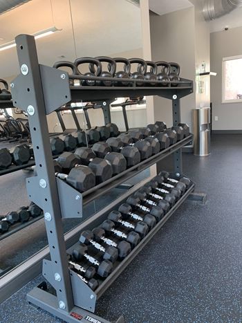 Free weights in the fitness center