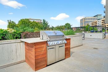 Amenities - grilling station