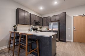 Bloomington apartment for rent - Interiors- Design Scheme B kitchen with darker cabinets and white quartz countertops
