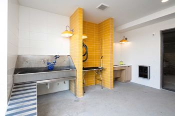 Dog spa with washing station and hair dryer, so your fluffy friend can get clean without dirtying your bathroom!