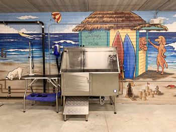 Dog wash and grooming station