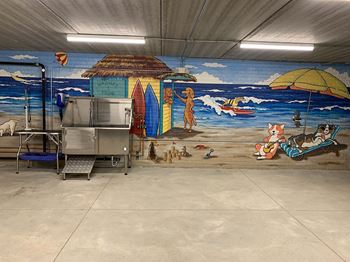Dog wash and grooming station
