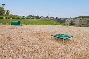 Dog run