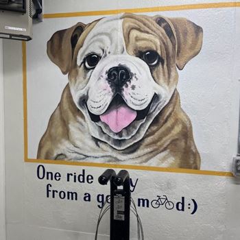 Wh-flats--lincoln-ne-pet-wash-bike-repair-01