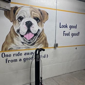 Wh-flats--lincoln-ne-pet-wash-bike-repair-02