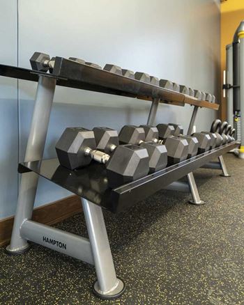 24-Hour fitness center dumbbells