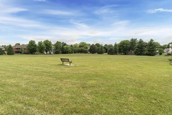 Green space