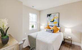 Silver Spring apartment for rent - Bedroom with well-lit window
