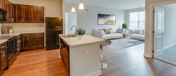 Prince Frederick apartment for rent - a kitchen and living room with a couch and
