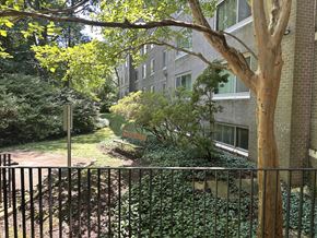 Rockville apartment for rent - A tree in front of a building with a fence in the foreground.