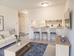 Annapolis apartment for rent - a living room with a couch and a kitchen with a bar
