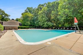 Silver Spring apartment for rent - a swimming pool with trees in the background