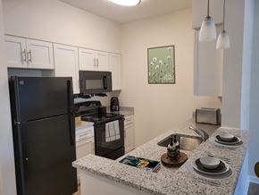 Dundalk apartment for rent - a kitchen with a granite counter top and a black refrigerator