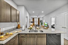 San Antonio apartment for rent - A modern kitchen with wooden cabinets and a stainless steel dishwasher.